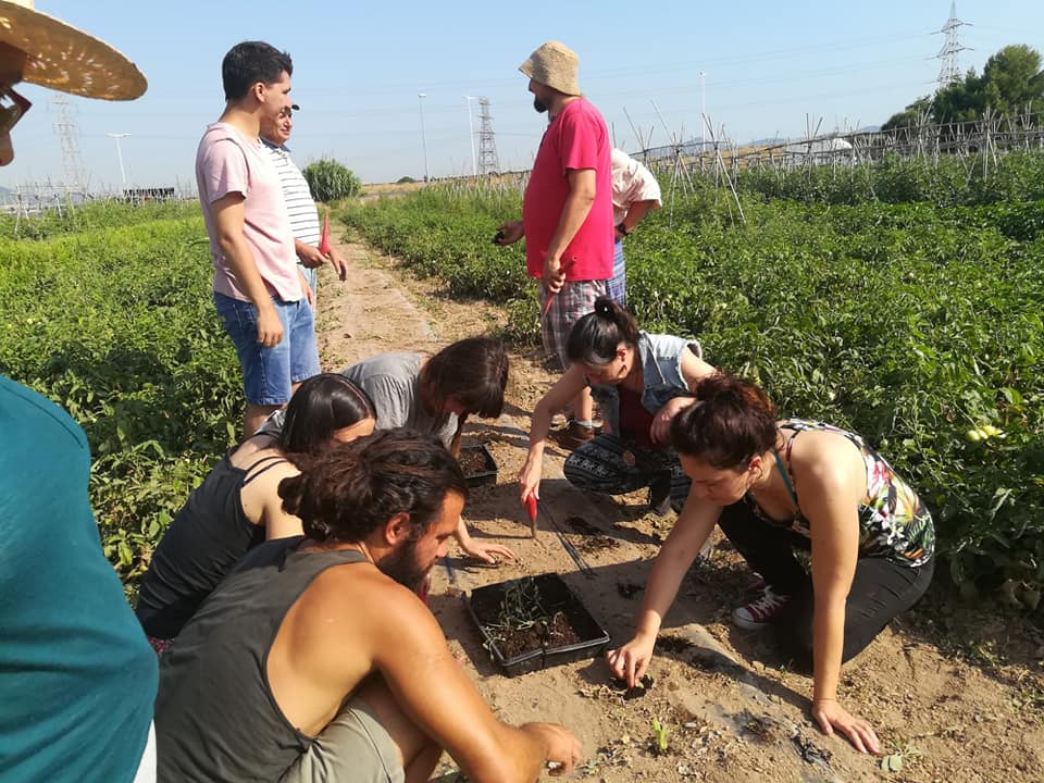 Abierta la convocatoria para producir un documental sobre el proyecto europeo Food Relations