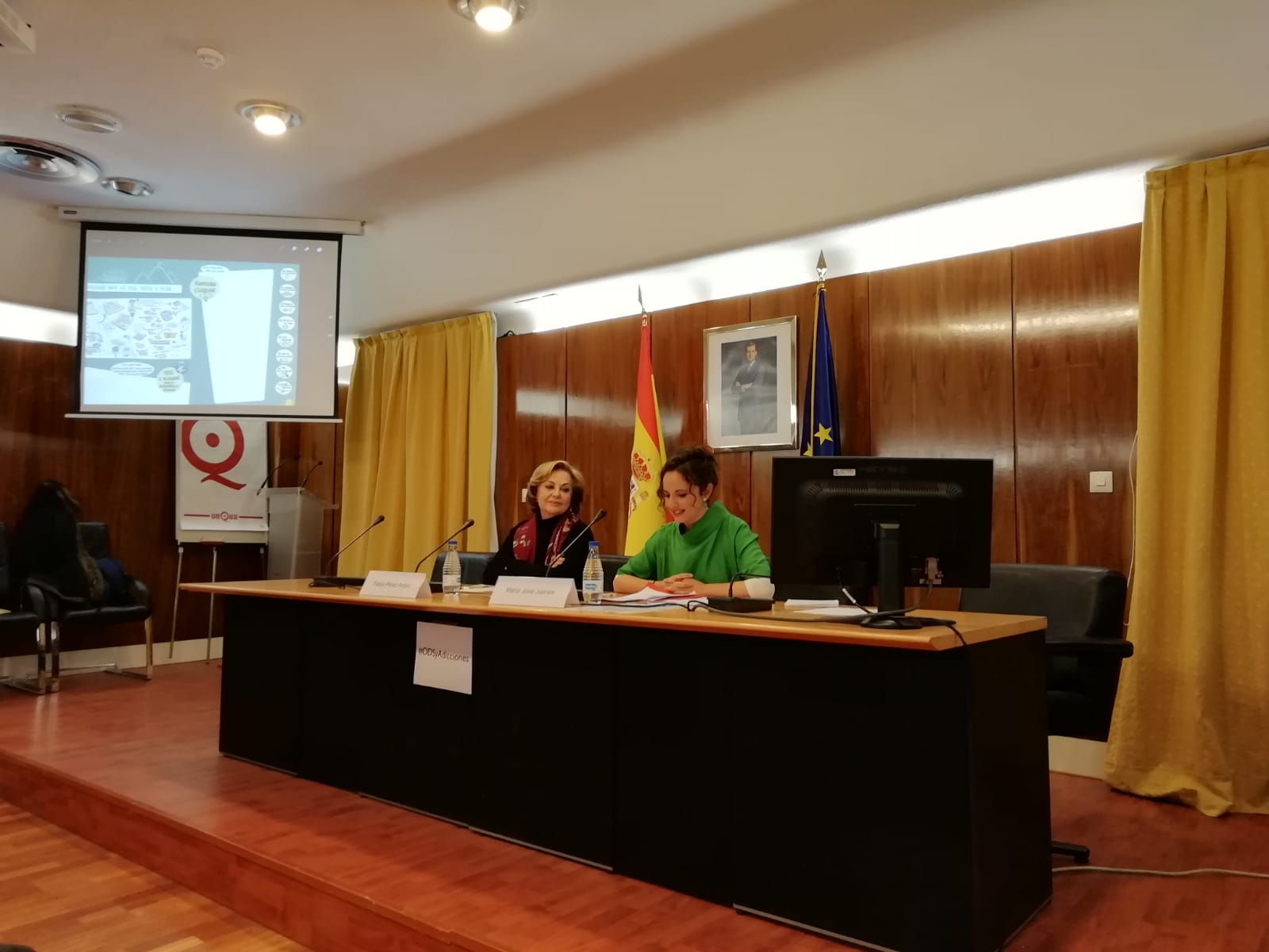 La presidenta d’ABD i vicepresidenta de la UNAD, Felisa Pérez, intervé a la jornada “Les addiccions davant dels ODS: metes i reptes”